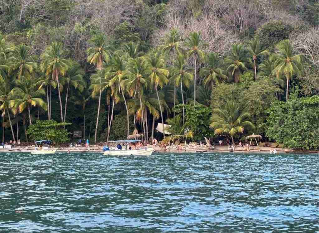 4 VIENTOS FONDOS (20)