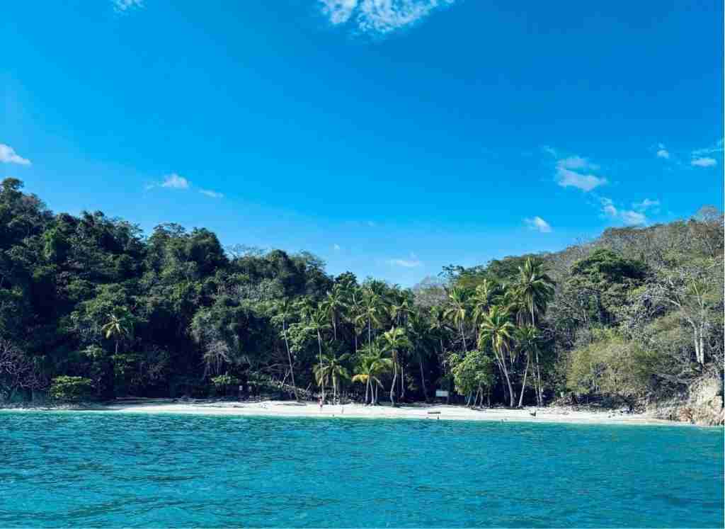 4 VIENTOS FONDOS (21)