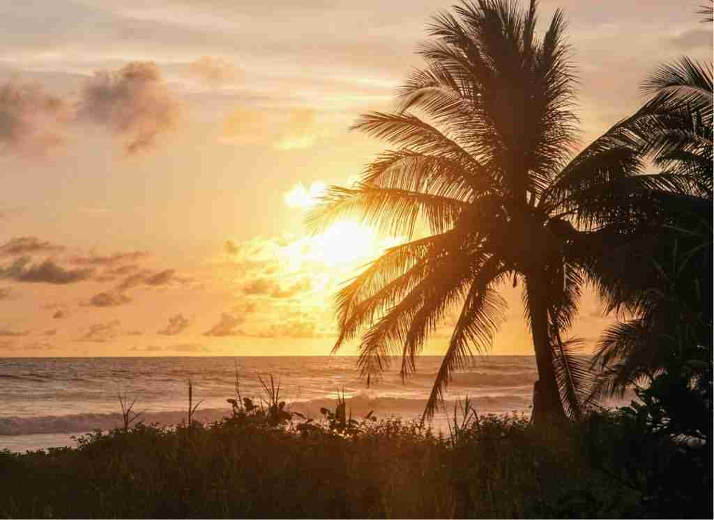 4 VIENTOS FONDOS (25)