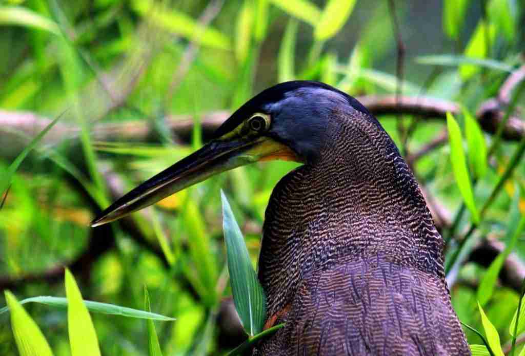 4 VIENTOS FONDOS - 2025-03-04T121317.417