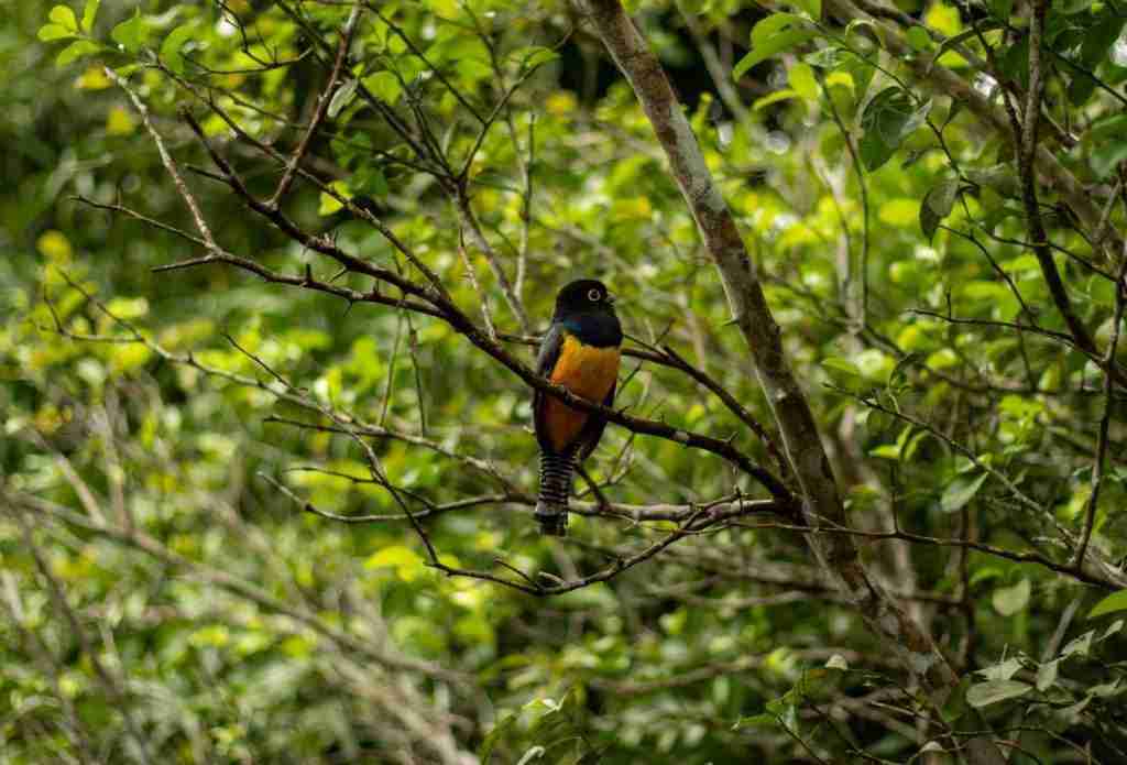 4 VIENTOS FONDOS - 2025-03-04T121326.124