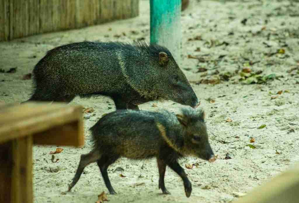 4 VIENTOS FONDOS - 2025-03-04T121333.962