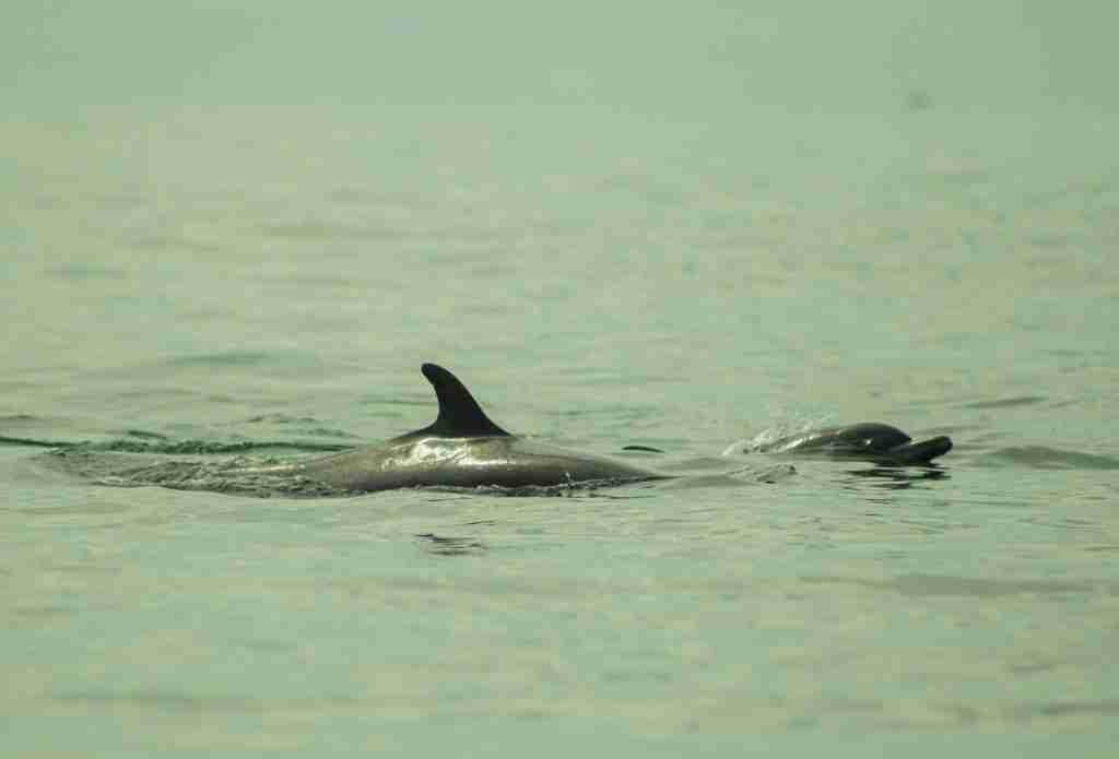 4 VIENTOS FONDOS - 2025-03-04T121352.757