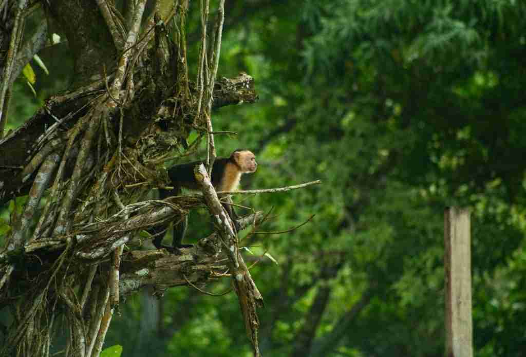 4 VIENTOS FONDOS - 2025-03-04T121401.277