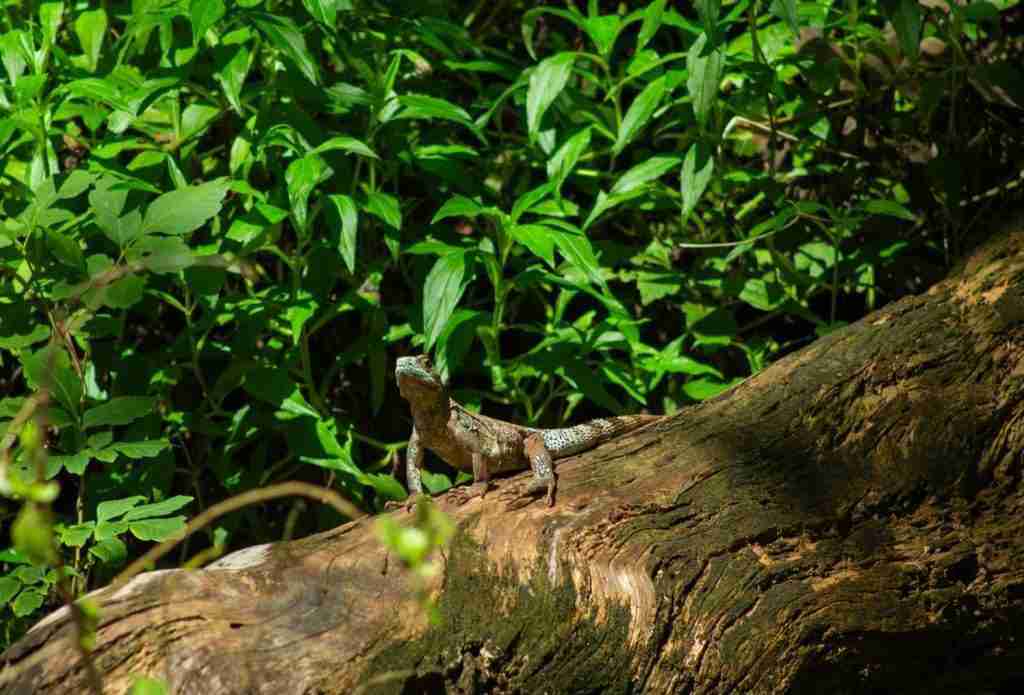 4 VIENTOS FONDOS - 2025-03-04T121409.323